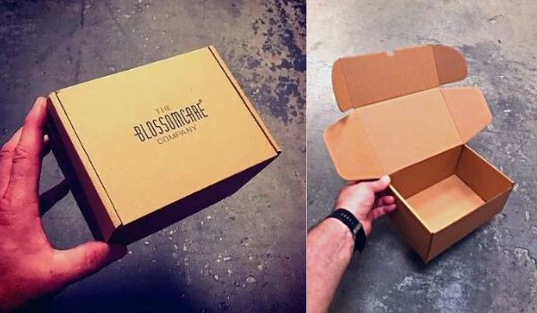 cajas para envios 16x12x9,5 centímetros